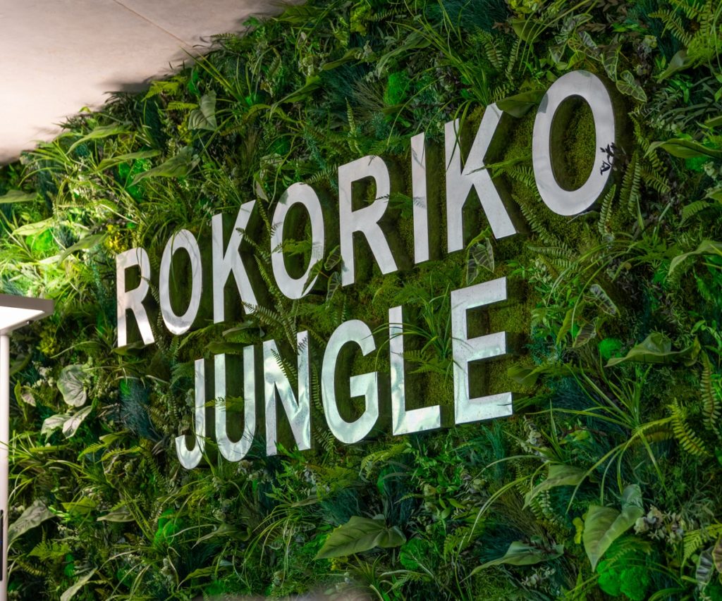 rokoriko jungle lyon confluence 